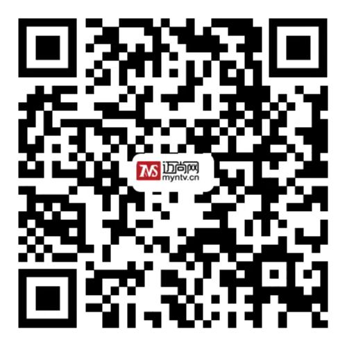 綿陽邁尚網.jpg
