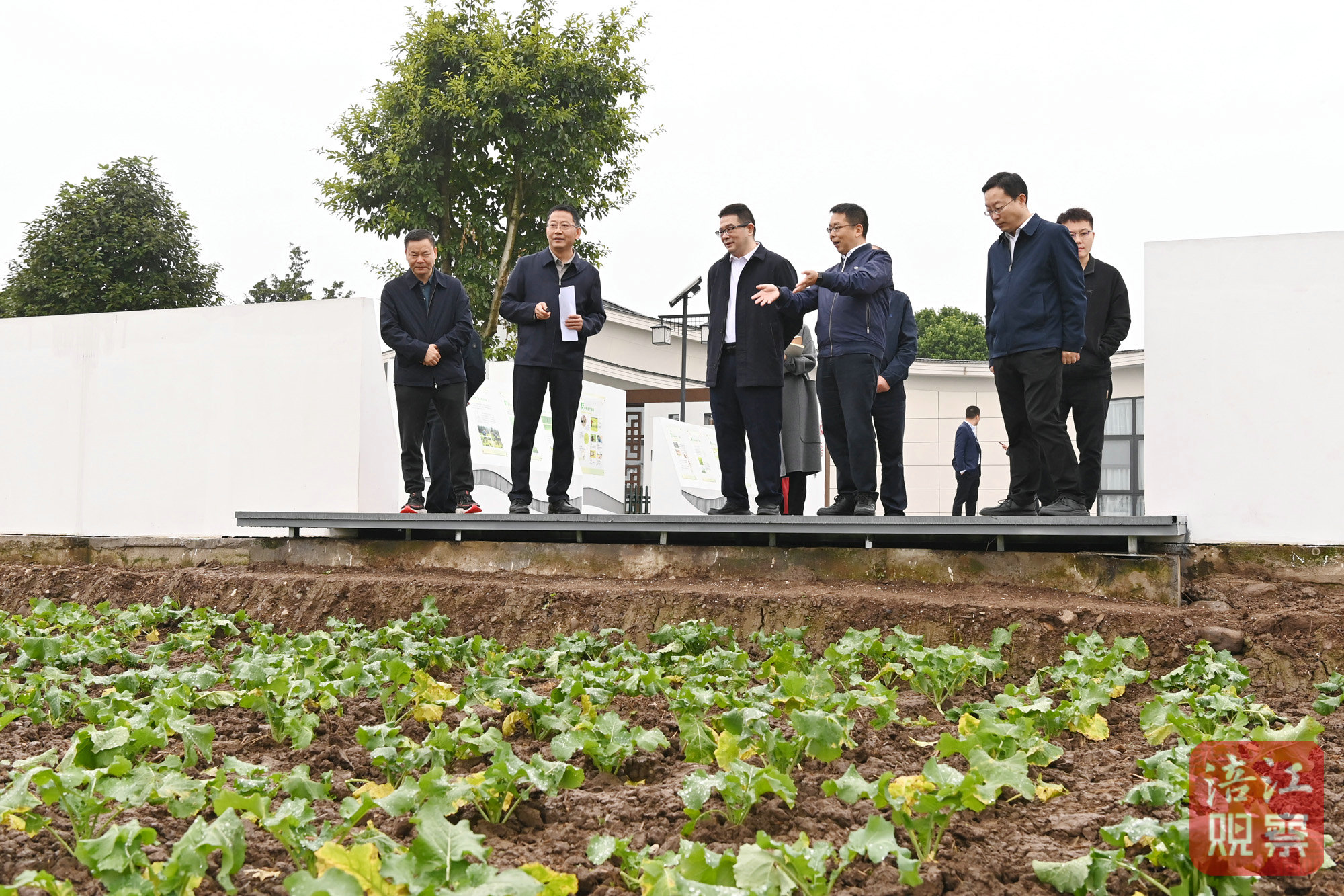 2024年11月10日，李云赴安州調研學習運用“千萬工程”經驗4  張莉 攝.jpg