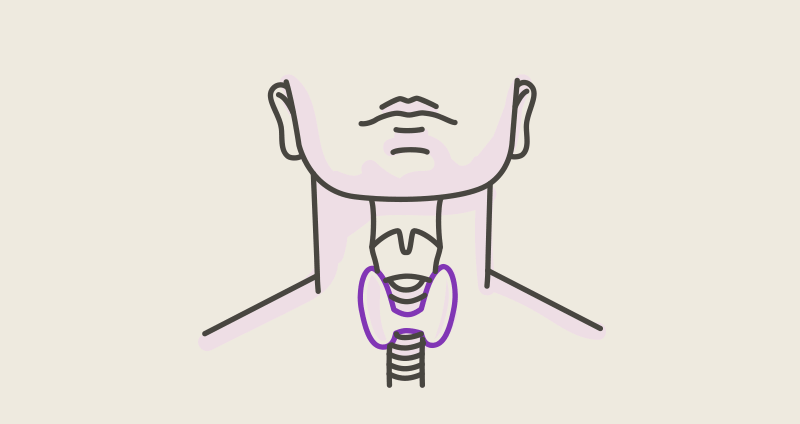 d1.gif